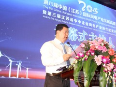 江蘇省可再生能源行業(yè)協(xié)會副秘書長施新春