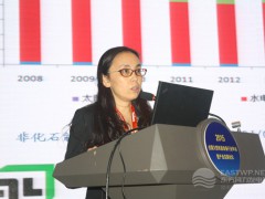 國家發(fā)改委能源研究所可再生能源中心時璟麗研究員