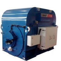 2MW永磁同步發(fā)電機(jī)TFY