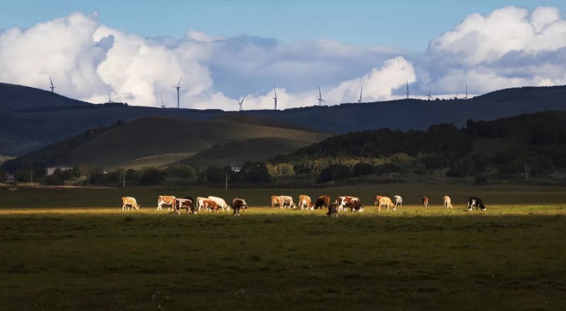 風(fēng)車下的光影、四川省廣安市前鋒區(qū)文廣電旅局、周修建