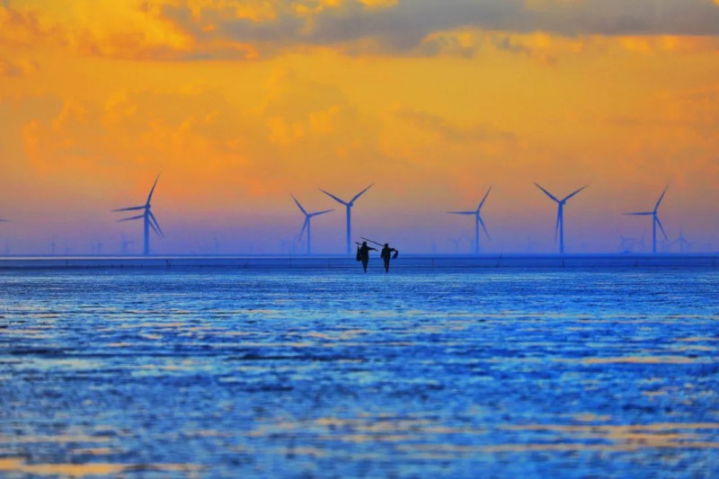 趕海、江蘇省鹽城市大豐區(qū)、董 溪