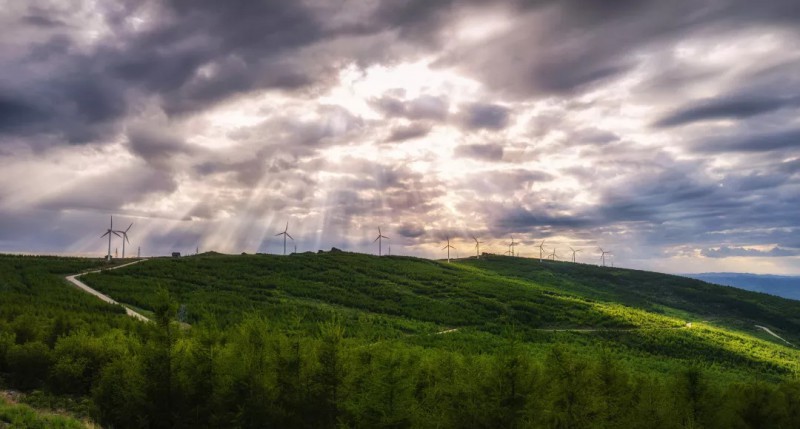 綠野圣光、北京美家客科技有限公司、蘇鑫宇