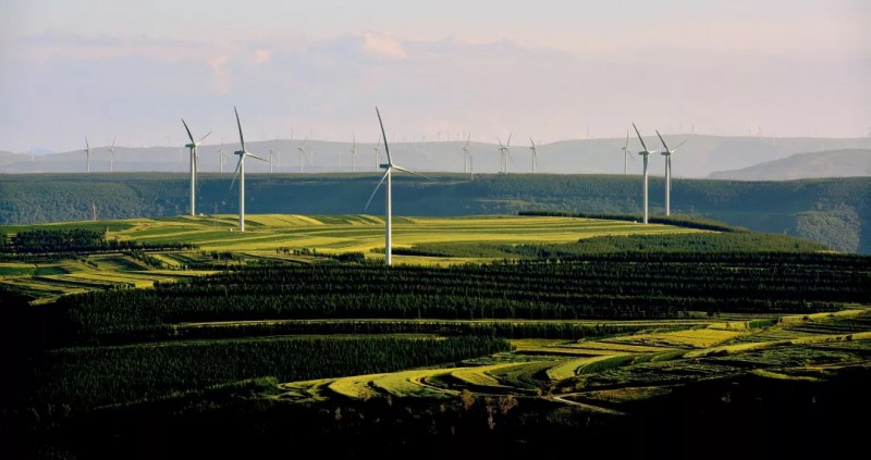 多姿多彩、國(guó)電華北電力有限公司、王迎春