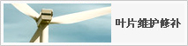 葉片維護(hù)修補(bǔ)