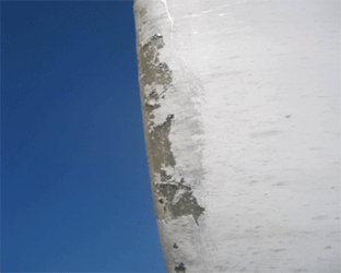 葉片表面涂層裂紋、脫